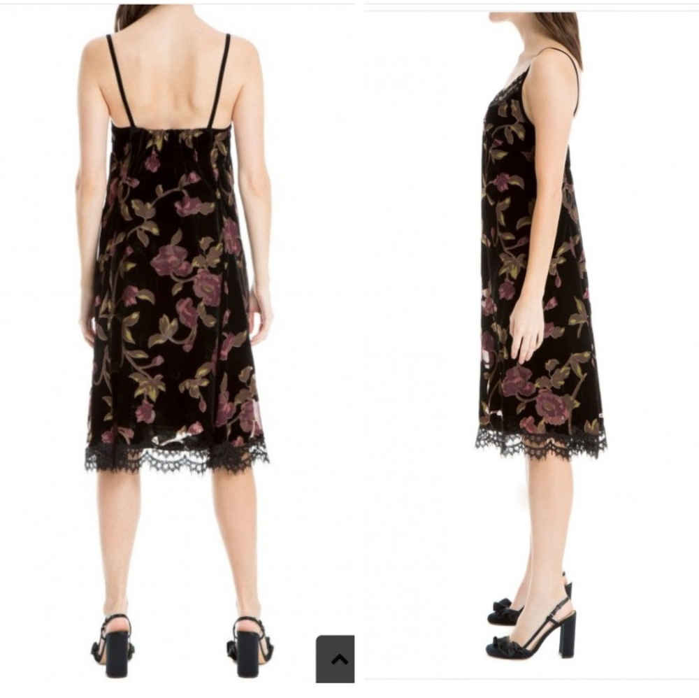 Max Studio Devere`Burned out Velvet Dres - Picture 5 of 8